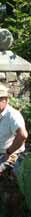 RIMORON | MENSEN | BREUX JOUY | CHEVAL | CHEVAUX | FRANCE | CHATEAU | FERME