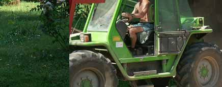 RIMORON | MENSEN | BREUX JOUY | CHEVAL | CHEVAUX | FRANCE | CHATEAU | FERME